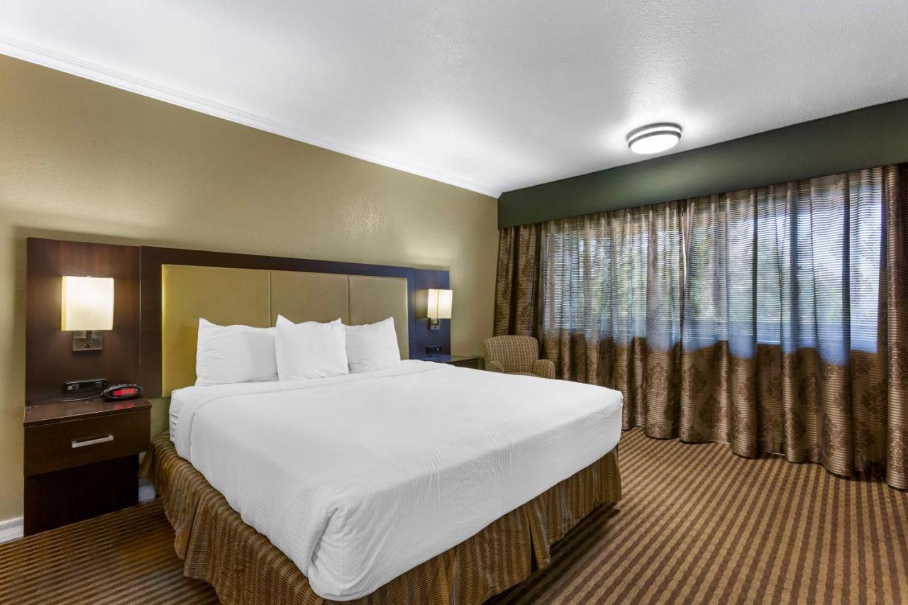 Best Western Royal Sun Inn & Suites Tucson Exteriér fotografie